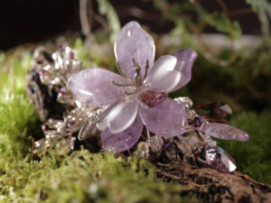 紫曦綻光 Amethyst Dawn