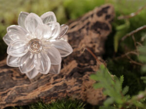 靜蓮之曦  Serene Lotus